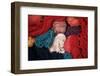 Dyed Wool-Alison Wright-Framed Photographic Print