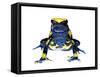 Dyeing Poison Frog (Dendrobates Tinctorius) Captive-Jp Lawrence-Framed Stretched Canvas
