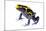 Dyeing Poison Frog (Dendrobates Tinctorius) The Kaw Mountains-Jp Lawrence-Mounted Photographic Print
