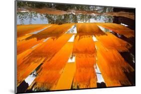 Dyers Souk in the Medina. Marrakech, Morocco-Mauricio Abreu-Mounted Photographic Print