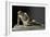 Dying Gaul, Roman Marble Copy of a Hellenistic Original of 230-220 BCE-null-Framed Giclee Print