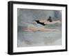 Dying Swan-Susan Adams-Framed Giclee Print