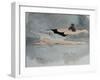 Dying Swan-Susan Adams-Framed Giclee Print