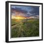 Dyke in the Hattstedtermarsch Near Husum, Schleswig - Holstein, Germany-Rainer Mirau-Framed Photographic Print