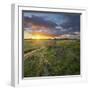 Dyke in the Hattstedtermarsch Near Husum, Schleswig - Holstein, Germany-Rainer Mirau-Framed Photographic Print