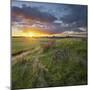 Dyke in the Hattstedtermarsch Near Husum, Schleswig - Holstein, Germany-Rainer Mirau-Mounted Photographic Print