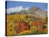 Dyke with Fall Colors, Grand Mesa-Uncompahgre-Gunnison National Forest, Colorado, Usa-James Hager-Stretched Canvas