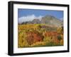 Dyke with Fall Colors, Grand Mesa-Uncompahgre-Gunnison National Forest, Colorado, Usa-James Hager-Framed Photographic Print