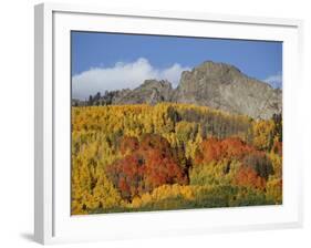 Dyke with Fall Colors, Grand Mesa-Uncompahgre-Gunnison National Forest, Colorado, Usa-James Hager-Framed Photographic Print