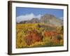 Dyke with Fall Colors, Grand Mesa-Uncompahgre-Gunnison National Forest, Colorado, Usa-James Hager-Framed Photographic Print