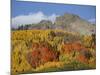 Dyke with Fall Colors, Grand Mesa-Uncompahgre-Gunnison National Forest, Colorado, Usa-James Hager-Mounted Photographic Print