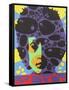 Dylan - Liquid Light, 1967-Larry Smart-Framed Stretched Canvas