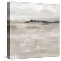 Dylife View-Paul Duncan-Stretched Canvas