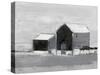 Dynamic Barn II-Ethan Harper-Stretched Canvas