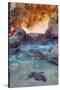 Dynamic Cove - Big Sur-Vincent James-Stretched Canvas