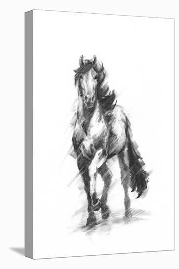 Dynamic Equestrian I-Ethan Harper-Stretched Canvas