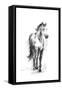 Dynamic Equestrian II-Ethan Harper-Framed Stretched Canvas