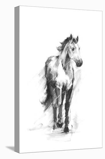 Dynamic Equestrian II-Ethan Harper-Stretched Canvas