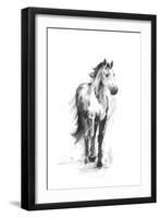 Dynamic Equestrian II-Ethan Harper-Framed Art Print