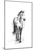 Dynamic Equestrian II-Ethan Harper-Mounted Art Print