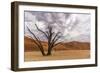 Dynamic Horizons-Catherina Unger-Framed Giclee Print