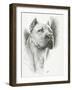 Dynamic-Barbara Keith-Framed Giclee Print