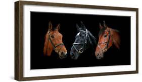 Dynasty-Lesley Wood-Framed Giclee Print