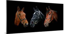 Dynasty-Lesley Wood-Mounted Giclee Print