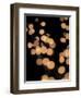 Dynavee-Fabio Panichi-Framed Photographic Print