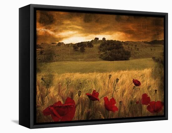 Dynazz-Fabio Panichi-Framed Stretched Canvas