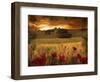 Dynazz-Fabio Panichi-Framed Premium Photographic Print