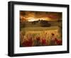 Dynazz-Fabio Panichi-Framed Premium Photographic Print