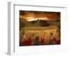 Dynazz-Fabio Panichi-Framed Premium Photographic Print