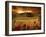 Dynazz-Fabio Panichi-Framed Premium Photographic Print