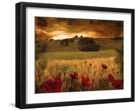 Dynazz-Fabio Panichi-Framed Premium Photographic Print