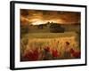 Dynazz-Fabio Panichi-Framed Photographic Print