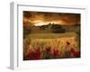 Dynazz-Fabio Panichi-Framed Photographic Print