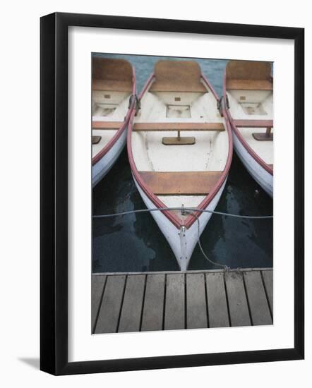 Dynazzy-Craig Satterlee-Framed Photographic Print