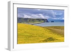 Dyrholaey Park green cliffs, Reynisfjara black sand beach, South Shore, Iceland.-William Perry-Framed Photographic Print