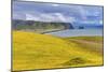 Dyrholaey Park green cliffs, Reynisfjara black sand beach, South Shore, Iceland.-William Perry-Mounted Photographic Print