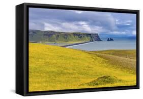 Dyrholaey Park green cliffs, Reynisfjara black sand beach, South Shore, Iceland.-William Perry-Framed Stretched Canvas