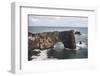 Dyrholaey Rock Arch, Iceland-Matthew Williams-Ellis-Framed Photographic Print