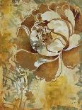 Ancient Floral II-Dysart-Giclee Print