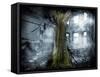 Dystopia, Conceptual Artwork-Victor Habbick-Framed Stretched Canvas