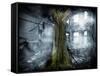 Dystopia, Conceptual Artwork-Victor Habbick-Framed Stretched Canvas