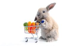 Cute Bunny Shopping for His Favorite Snacks with Shopping Cart-dzain-Photographic Print