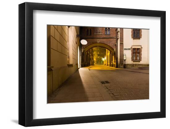 Premium Photographic Print, , large