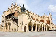 View of the Beautiful Saint Stanislas Cathedral at Wawel Castle, Krakow, Poland, Viewed from Behind-dziewul-Photographic Print