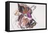 Dzik-Mark Adlington-Framed Stretched Canvas
