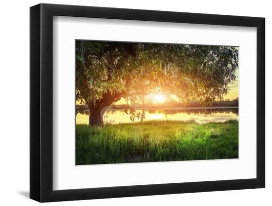 Premium Photographic Print, , large